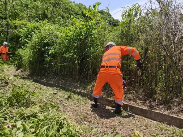排水溝清掃