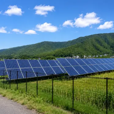 太陽光パネル周辺の草刈り
