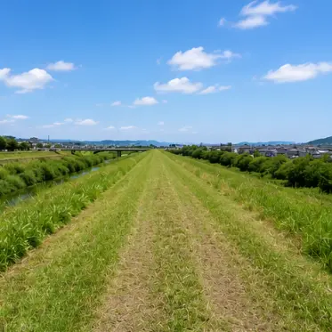 農道の草刈り