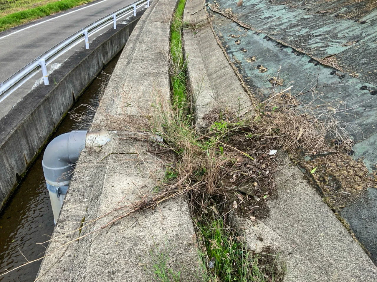 作業前写真